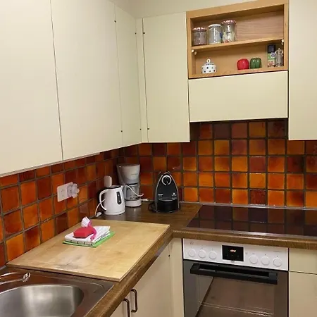 Appartement Chesa Florineth Oev Und Bergbahnen Inklusive Sommer *